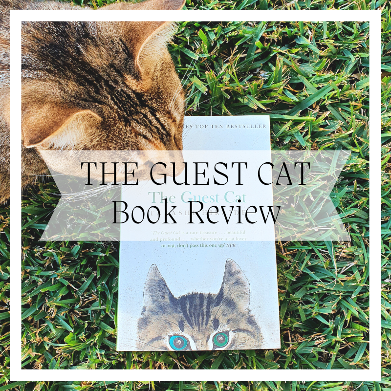 The Guest Cat Book Review