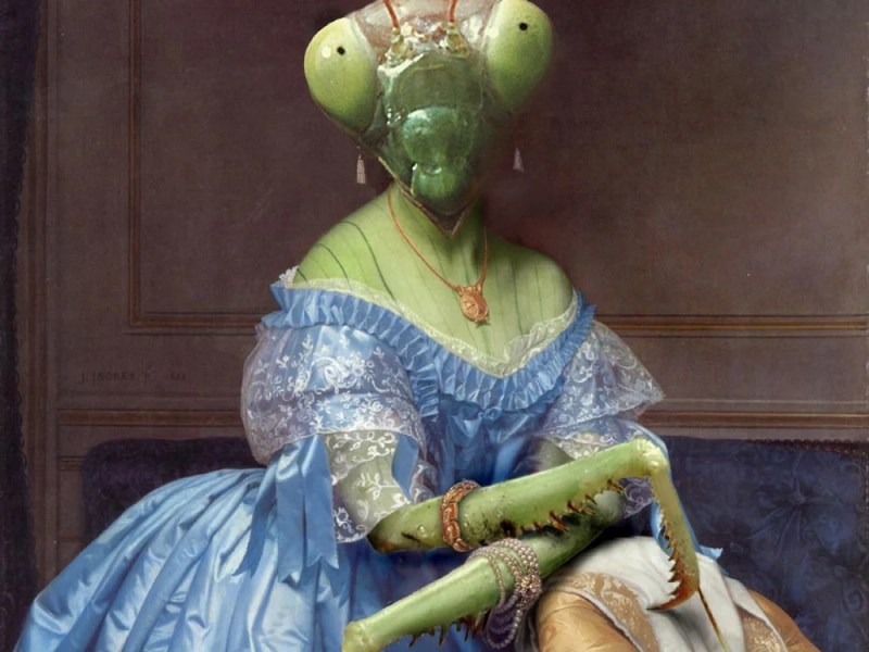 The Mantodea Monarch